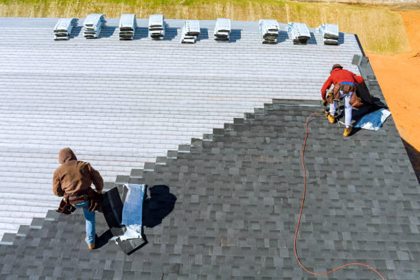 Best Roof Gutter Cleaning  in Nogales, AZ