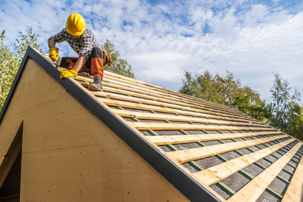 Best Storm Damage Roof Repair  in Nogales, AZ