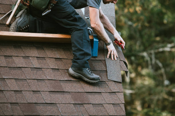 Best Roof Waterproofing Services  in Nogales, AZ